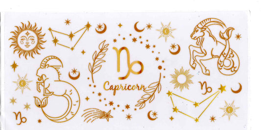 #47. Zodiac - Capricorn