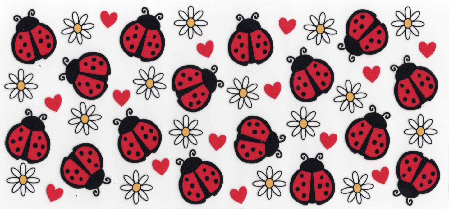 #64. Lady bugs and Daisies