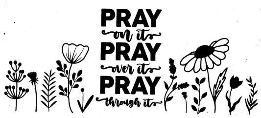 #391. Affirmation - PrayX3