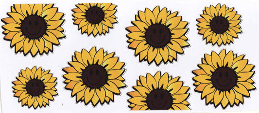 #81. Daisies