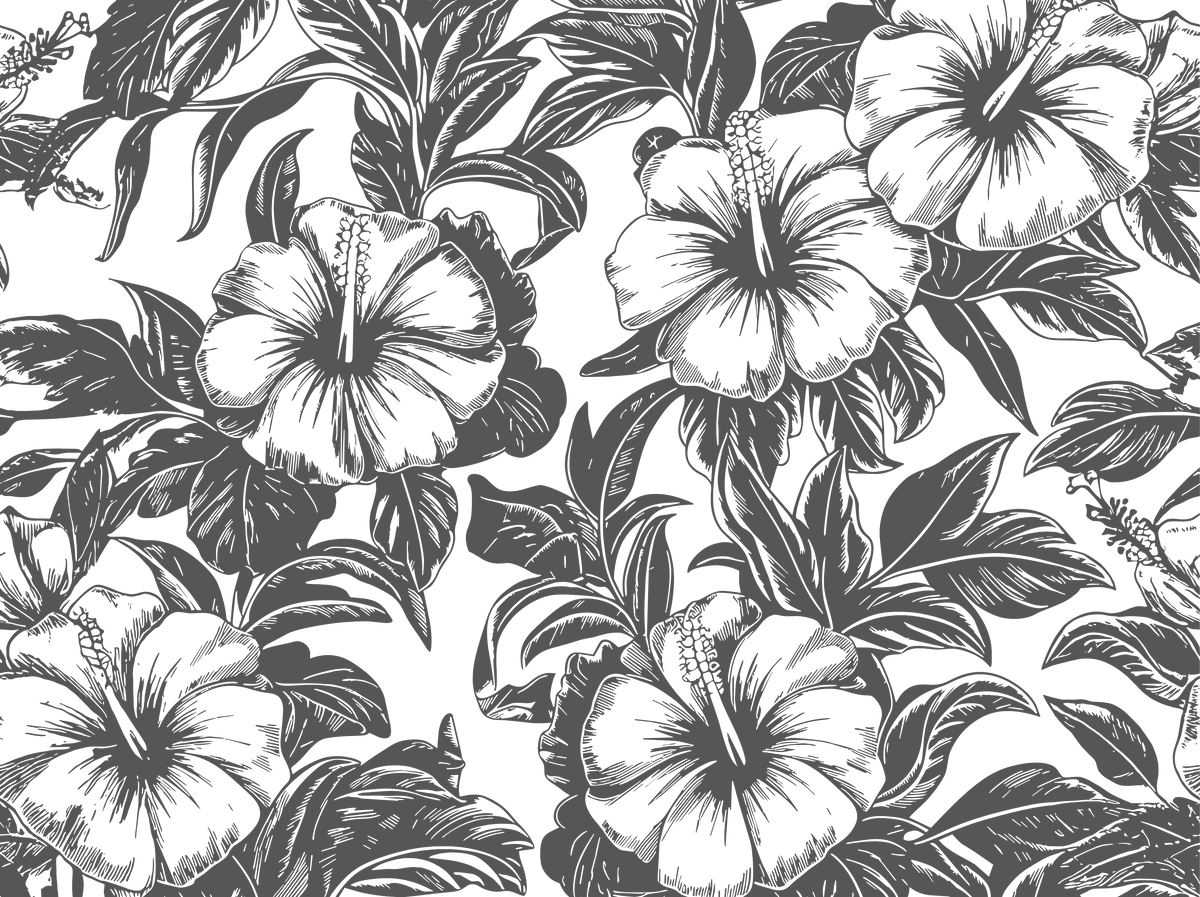 Laser - designs